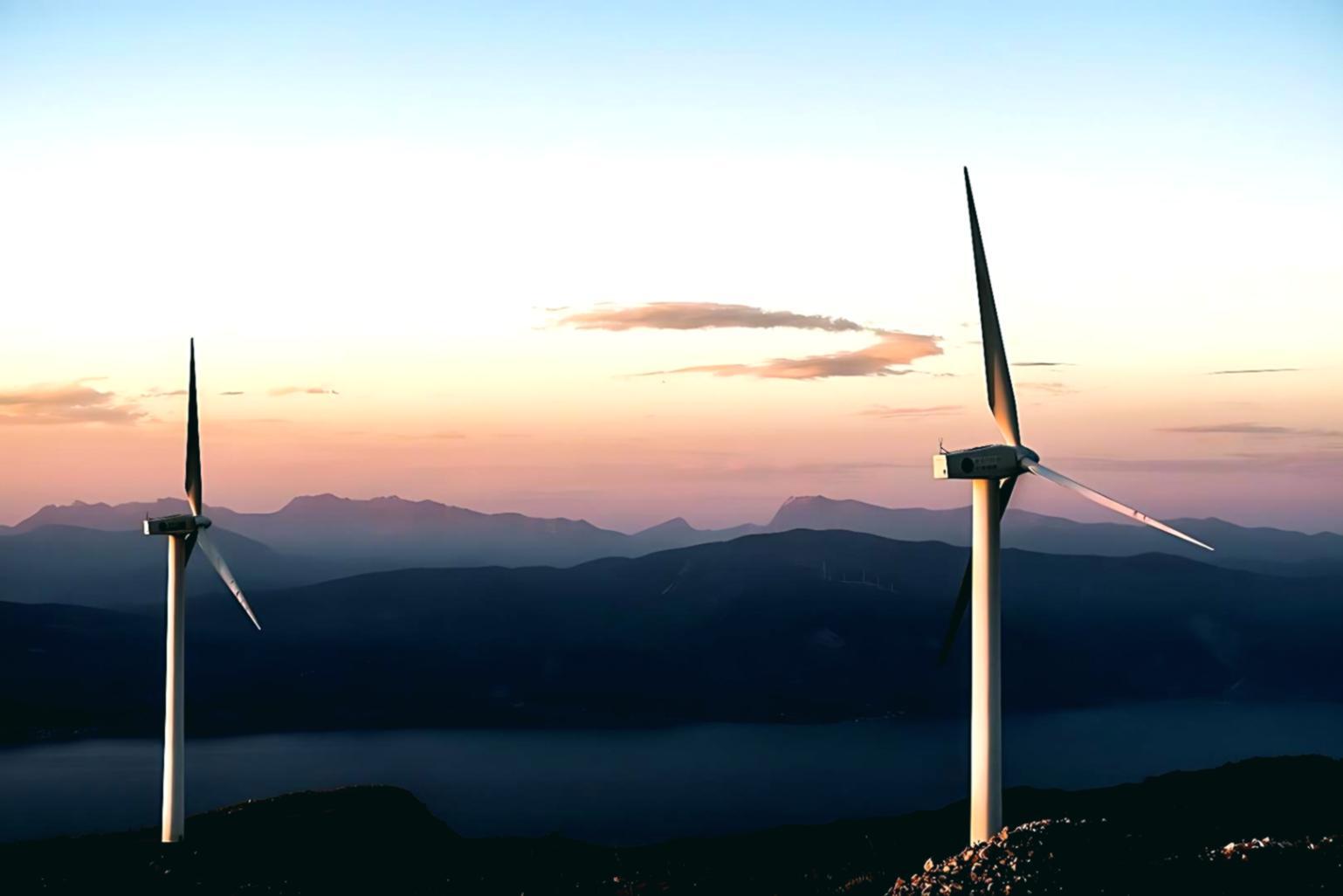 Quiz interactifs avec feedback instantané